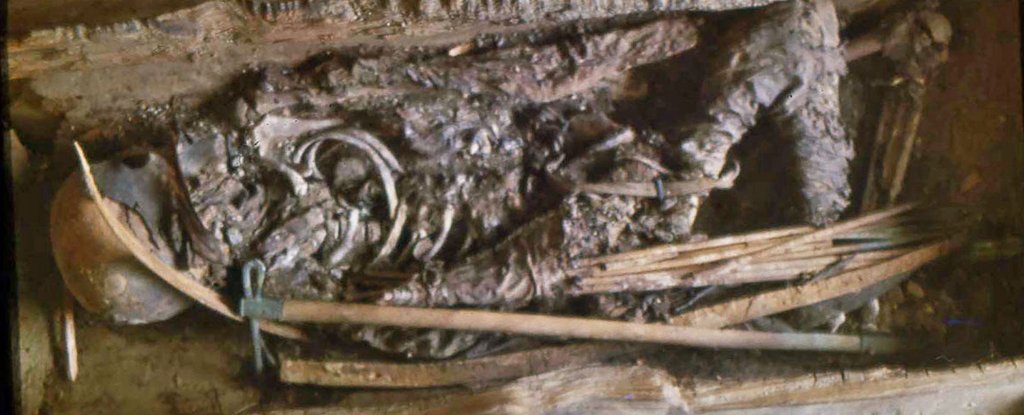 Remains of the young ancient Scythian warrior. 