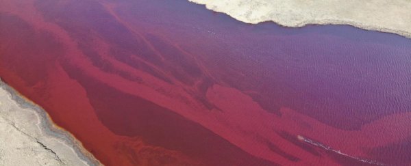 Russia is in a state of emergency after 20,000 tonnes of diesel fuel leak into river
