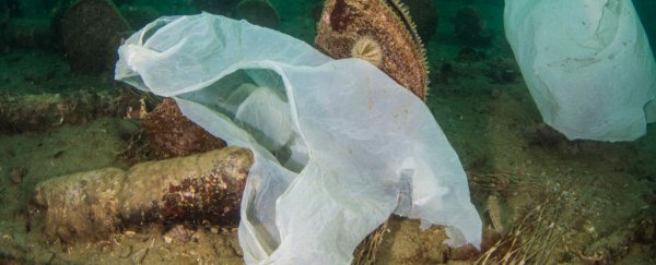 Scientists test plastic kept deep underwater for over 20 years, with depressing results