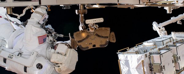 Astronaut loses a mirror in the middle of a spacewalk - and it's on live stream