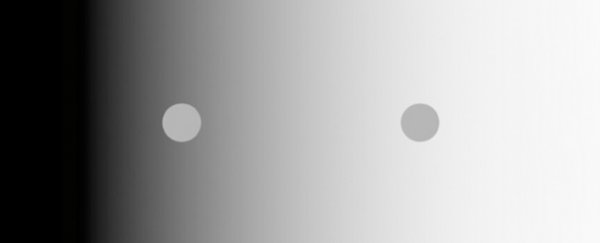Here's why you're fooled by this classic visual illusion, study reveals