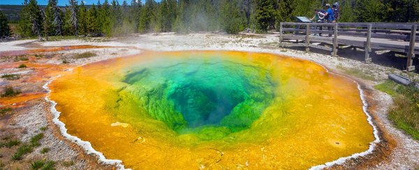 Almost a dozen earthquakes recorded in clusters near yellowstone park in just 24 hours