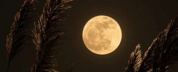 How to watch this Friday's penumbral lunar eclipse