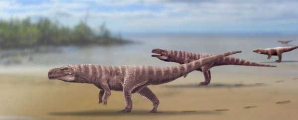 Giant Crocodile Ancestor Walked Around on 2 Legs, Ancient Footprints Suggest