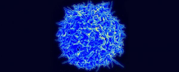Some People May Have a Head Start Against Coronavirus, Surprising Evidence Shows