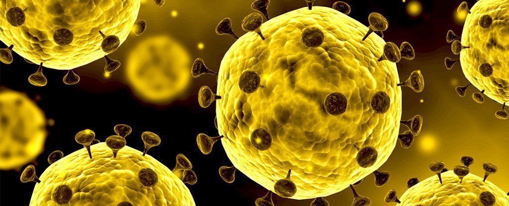 An illustration of a coronavirus. 