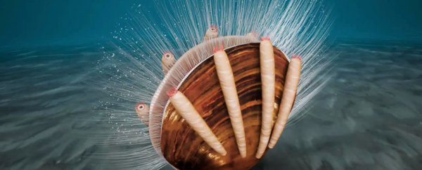 Scientists discover the oldest known parasitic relationship