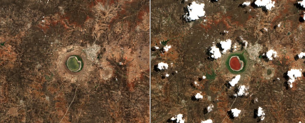 Lonar lake on 11 June 2019 and 10 June 2020. 