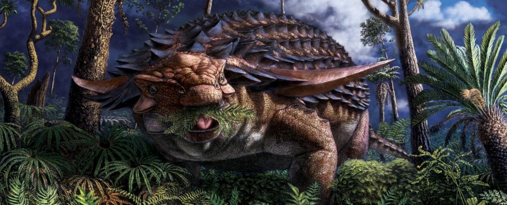 Illustration of Borealopelta markmitchelli dinosaur. 