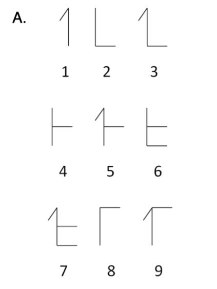 surrigate numbers