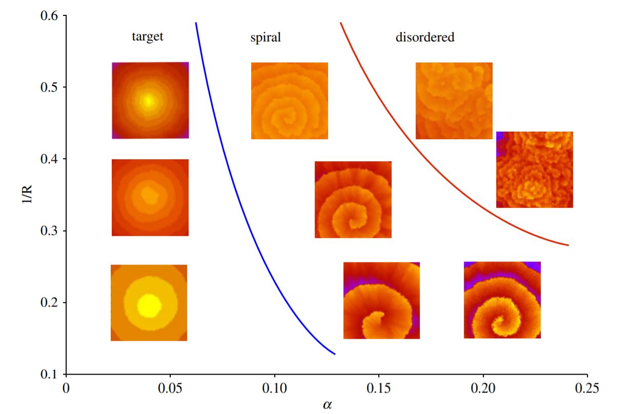 figure 5 disordered