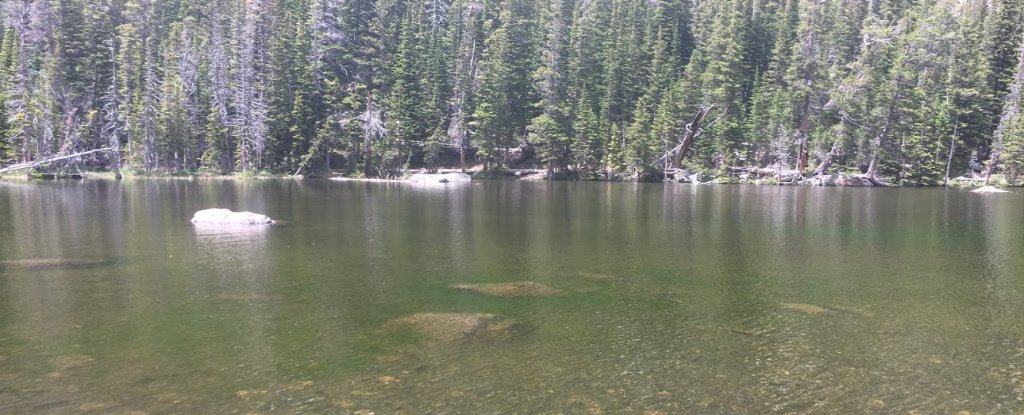 Algae Blooms 'Without Historical Precedent' Are Turning US Lakes Green, Study Warns - ScienceAlert