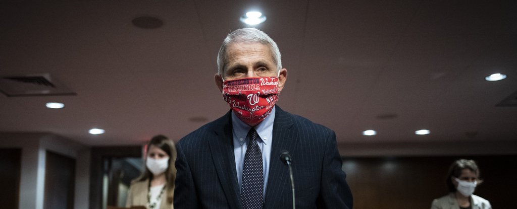 Dr. Anthony Fauci at a Senate Committee hearing on June 30 in Washington, DC. 