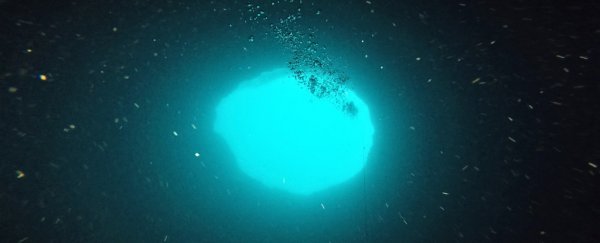 Researchers embark to explore mysterious 'blue hole' hidden off the coast of Florida