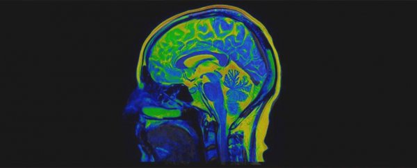 Serious cases of brain damage are linked to COVID-19, new research shows