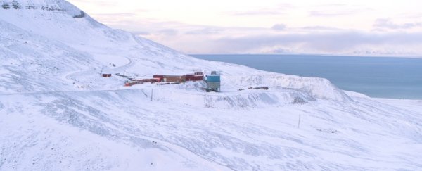 A staggering 21TB of source code were just buried in the Arctic for an unknown future