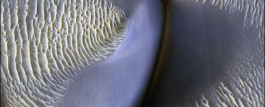 Megaripples beside a Martian sand dune. 