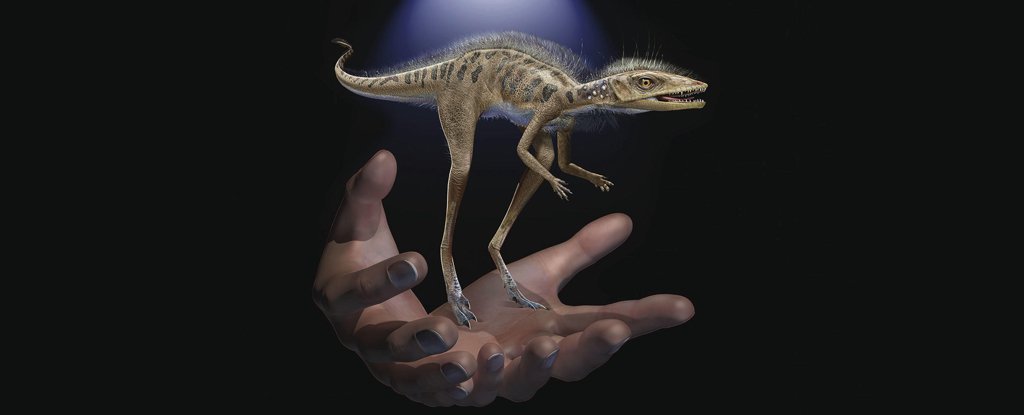 Scientists Discover Extremely Tiny Dinosaur Ancestor in Madagascar - ScienceAlert