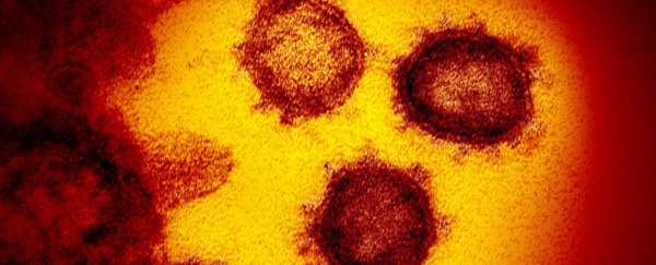 COVID-19 Vaccine Front-runner To Enter Final Stage As Positive Results Get Published