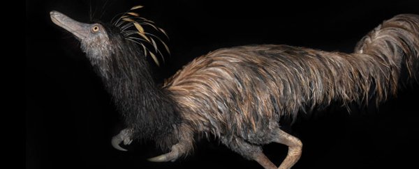 Palaeontologists Have Unearthed a Distinctive Hook-Clawed Dinosaur in Montana