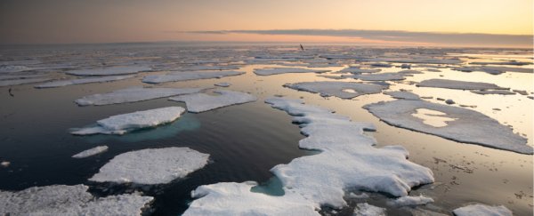 A new 'forever chemical' has been detected in Arctic seawater for the first time