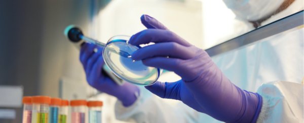 21 Existing Drugs Identified Appear to Block SARS-CoV-2 Replication in The Lab