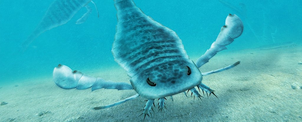 Paleoartist reconstruction of Eurypterus. 
