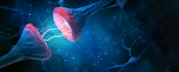 Experiment in mice suggests oxytocin could help treat Alzheimer's memory loss
