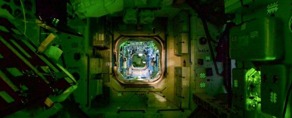 Experiments show bacteria grow more lethal and antibiotic-resistant in space