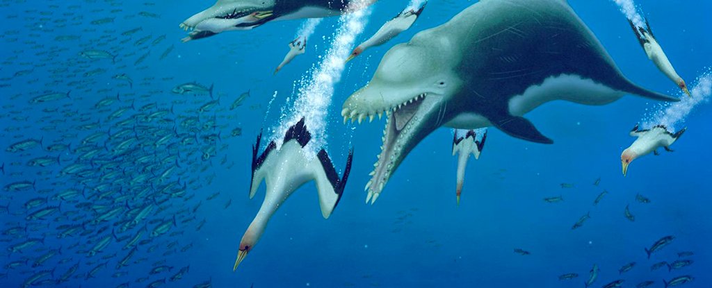 Massive Predatory Dolphins Once Terrorized Earth's Oceans - ScienceAlert