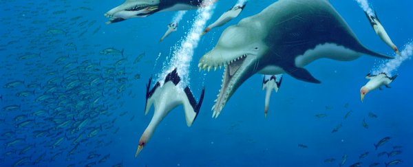Massive predatory dolphins once terrorized Earth's oceans