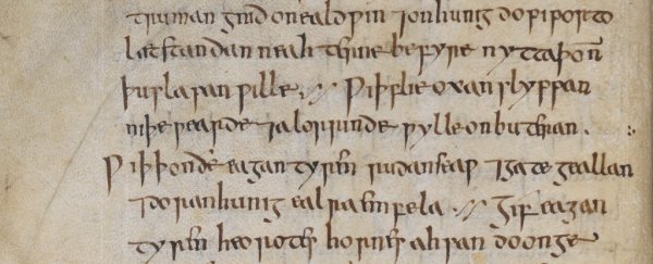 1,000-year-old onion and garlic remedy kills antibiotic-resistant biofilms in the lab