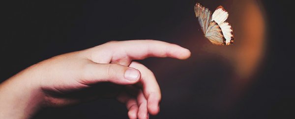 Time travel simulation shows quantum 'butterfly effect' doesn't exist