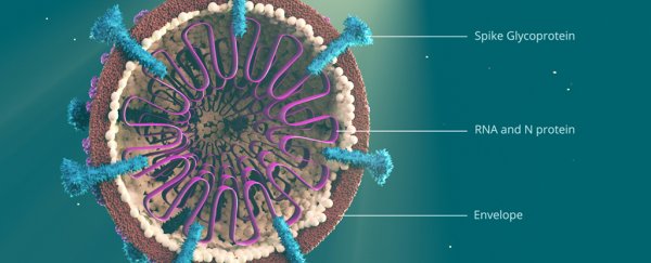 Here's how scientists know coronavirus wasn't made in a lab