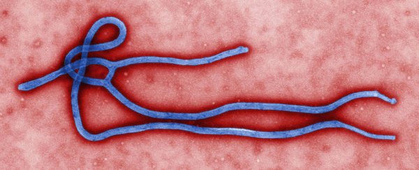 ebola picture