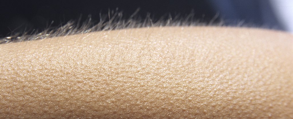 Science May Have Finally Explained The Reason Why We Still Get Goosebumps