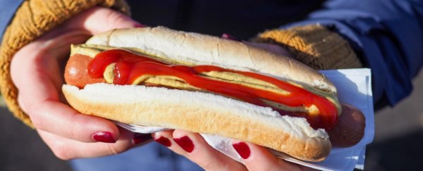 Scientist calculates the maximum amount of hot dogs a human can eat in 10 minutes