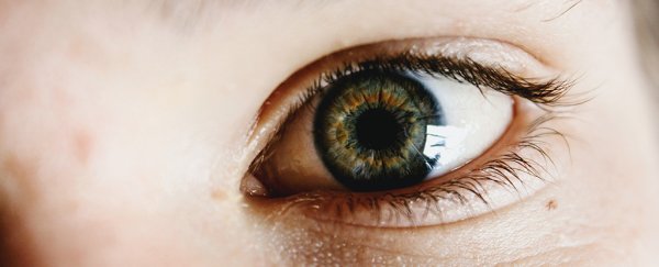 Brain scans show why our mind's eye sees the world so differently to everyday vision