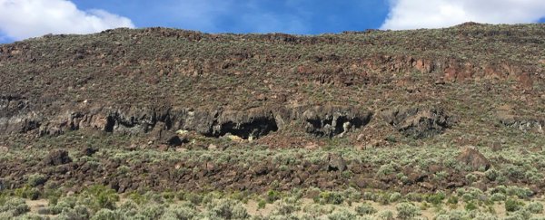 14,000-year-old poop could hint at oldest known human settlement in North America
