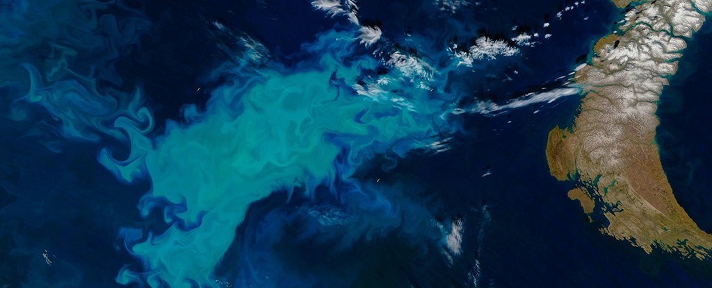 Phytoplankton blooming in the Barents Sea 