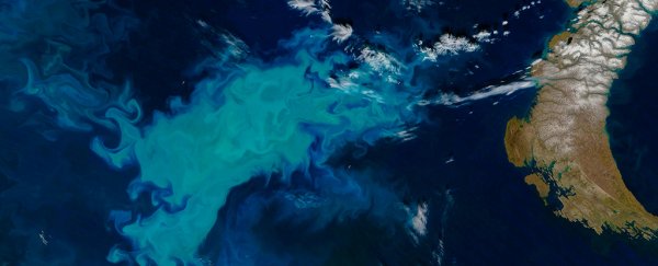 A major food chain shift appears to be happening in the Arctic right now