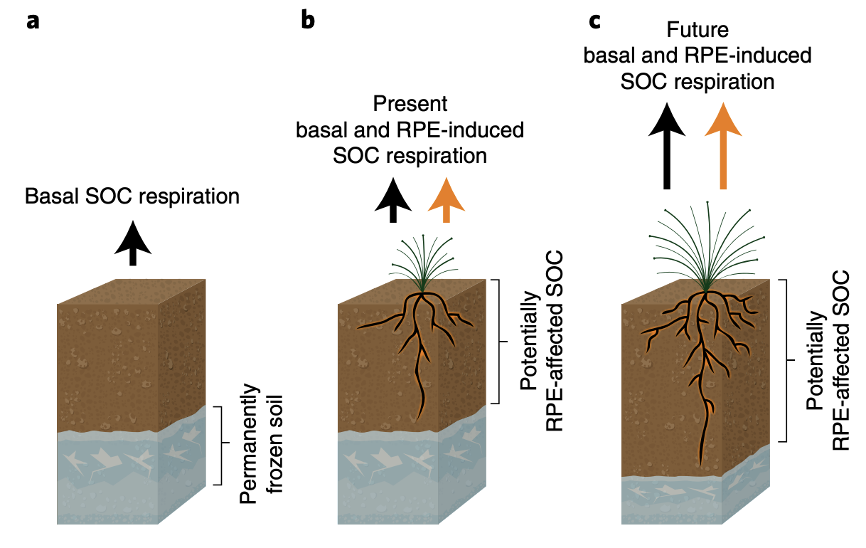 soilmicrobes