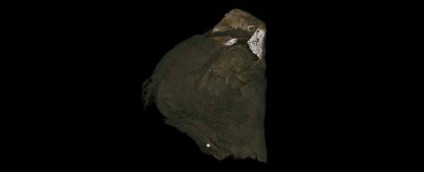 New X-ray imaging has revealed what's inside Ancient Egyptian animal mummies
