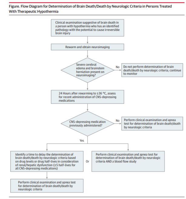 flow chart for hypothermia death