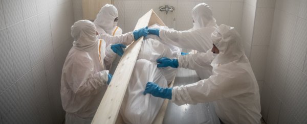 Pandemic conspiracies and rumours have killed over 800 people, study shows