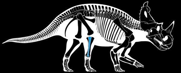 Malignant bone cancer has been diagnosed in a dinosaur for the first time ever