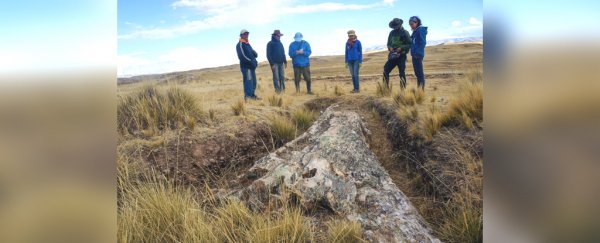 Giant 10-Million-Year-Old Fossil Tree in Peru Reveals Surprises About Ancient Past
