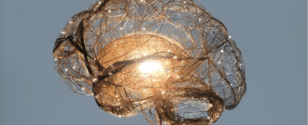We may have 'recycled' a key region of our brains as humans learned to read