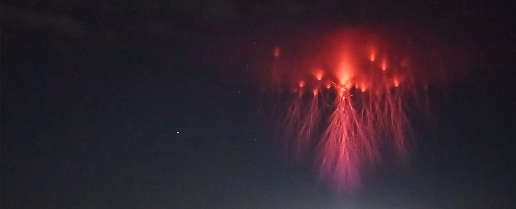 Red jellyfish sprite, Mt. Locke, Texas, 2 July 2020. 