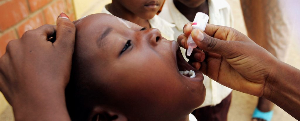 Nigerian school student taking polio vaccine. 